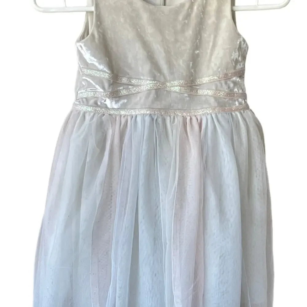 The Children’s Place Ivory Velvet & Tulle Dress Size 5T